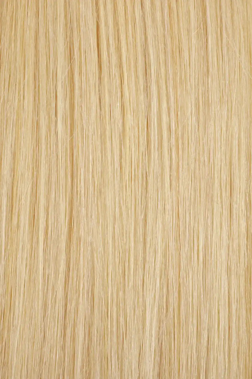 CHAMPAGNE SILK